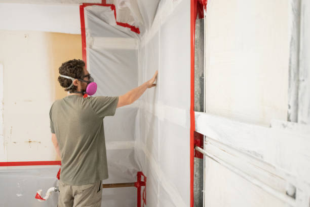 Mold Remediation for Vacation Homes in Pennsboro, WV