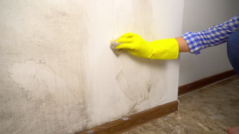 Best Post-Remediation Verification Testing  in Pennsboro, WV